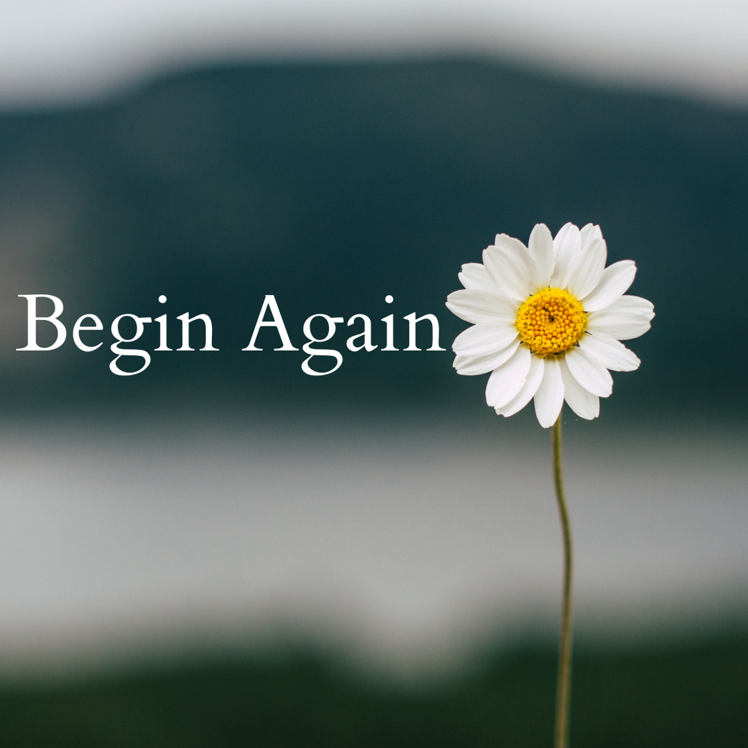 Begin Again