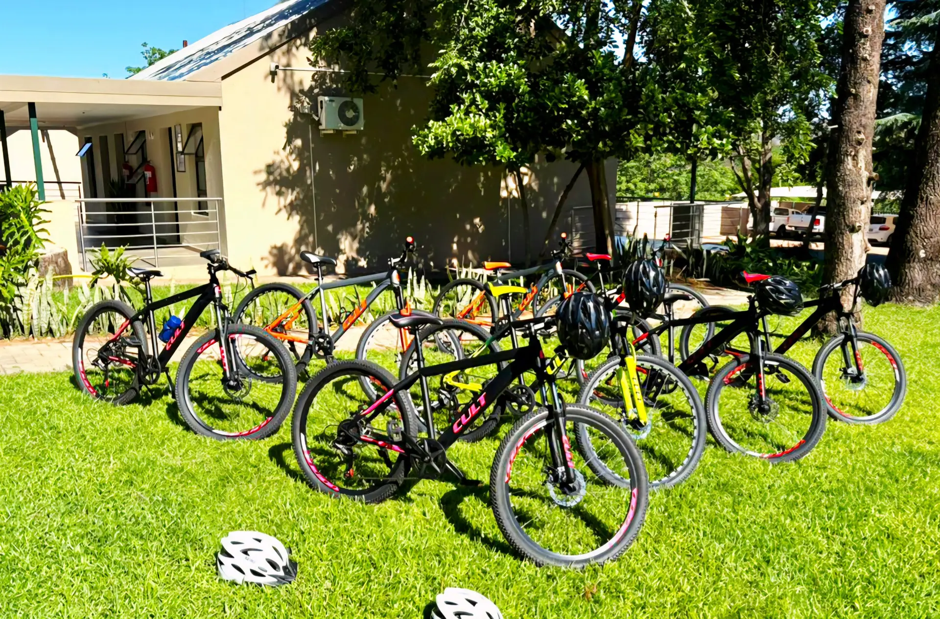 Cycling 2 Golden