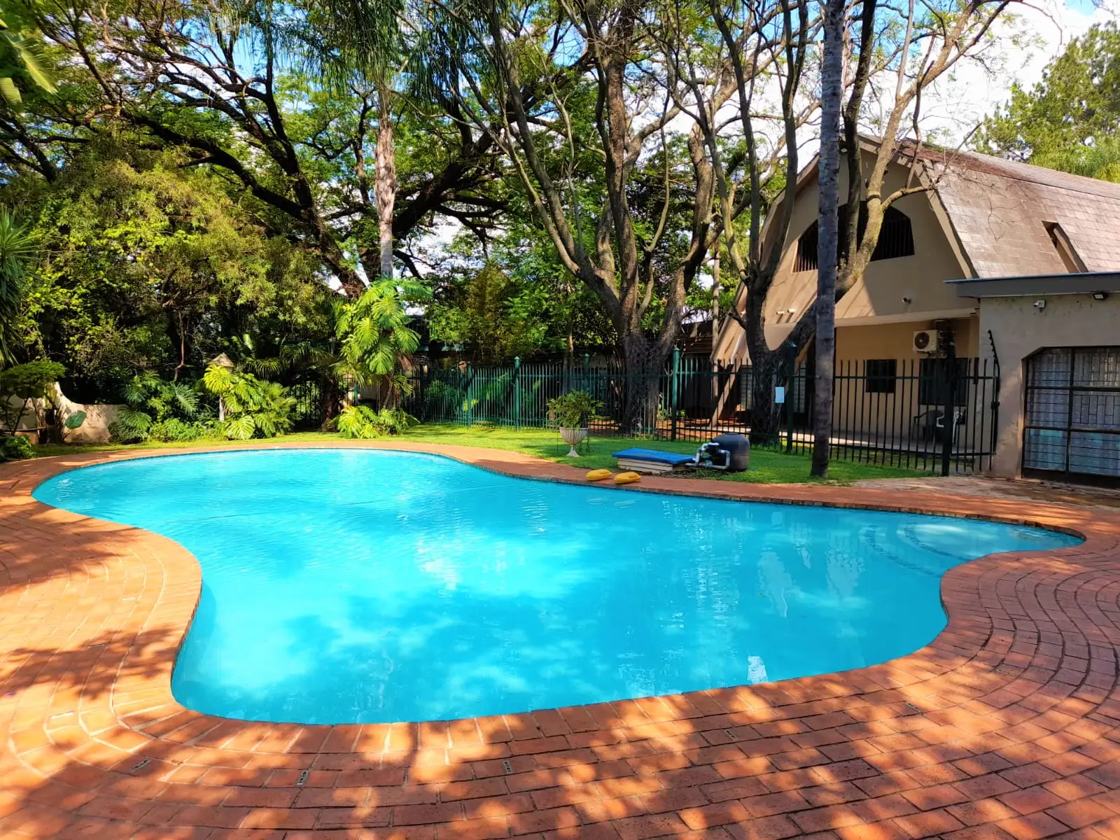 New pool